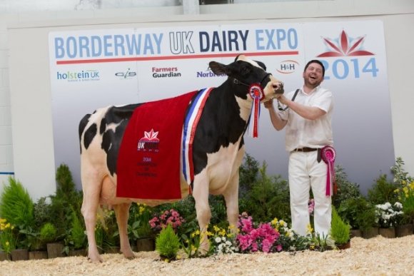 PerfectionCSale's tweet photo. Almost the end of #MaxScoreMonday but we thought we would quickly introduce our latest #World Class Pedigree

Peak Gold Den Rhapsody a Mr Mogul Denver daughter of “The Tank” Peak Goldwyn Rhapsody EX97

We are delighted to be working with a direct daughter of this living legend https://t.co/dtqLKR6XZe
