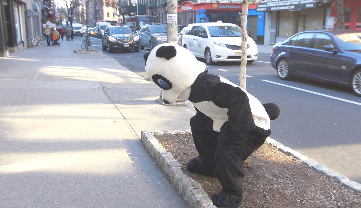 FollywoodApp's tweet photo. Dub the #Naughty #Panda video and win #crazy #kooky #prizes. It really #fun and #easy. Download the #app. https://t.co/czlukoejzX . Find the #naughty panda video. Dub it like you are a master! Share it on #NAUGHTYPANDA ...WE WILL FIND IT AND JUDGE YOU FOREVER! #panda #pandamonium https://t.co/iohzxMkVQp