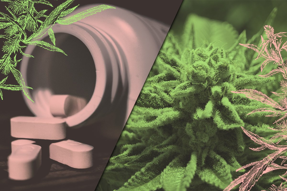 Push Mag tweet media