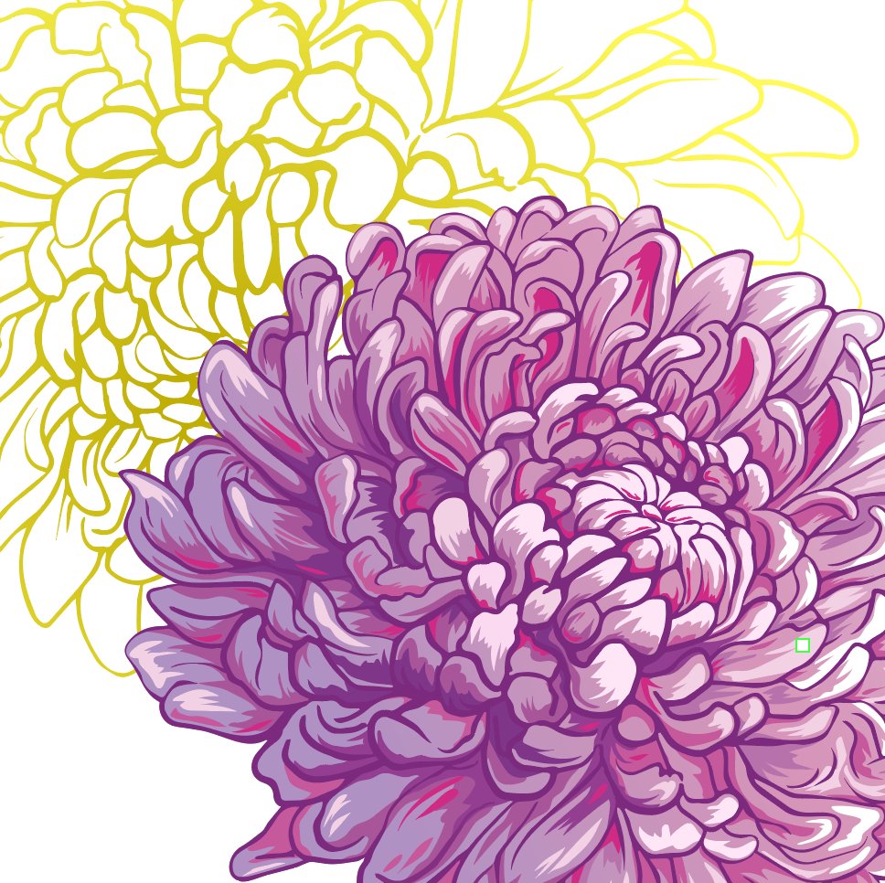 wendyding's tweet photo. Florals for a new illustration for @MaryKatrantzou open call via @DrawADot. Stay tuned for final artwork reveal this week! #fashionillustration #drawadotmarykatrantzou #flowers #illustration #illustrator #adobeillustrator #vectorart #vectorillustration #chrysanthemum https://t.co/vj249NKSaN