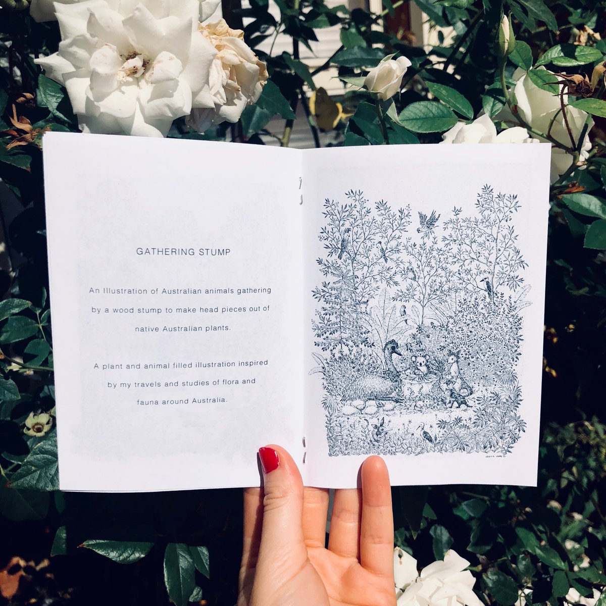 Jessica Jane tweet media