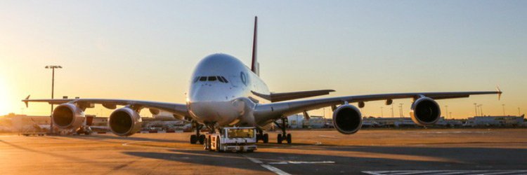 True Local tweet media