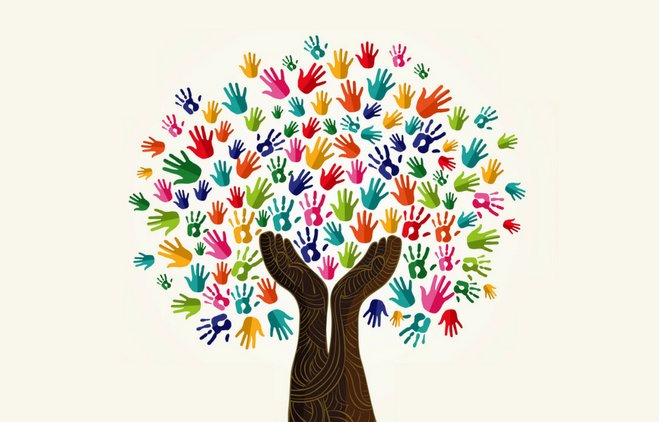 School Stream tweet media