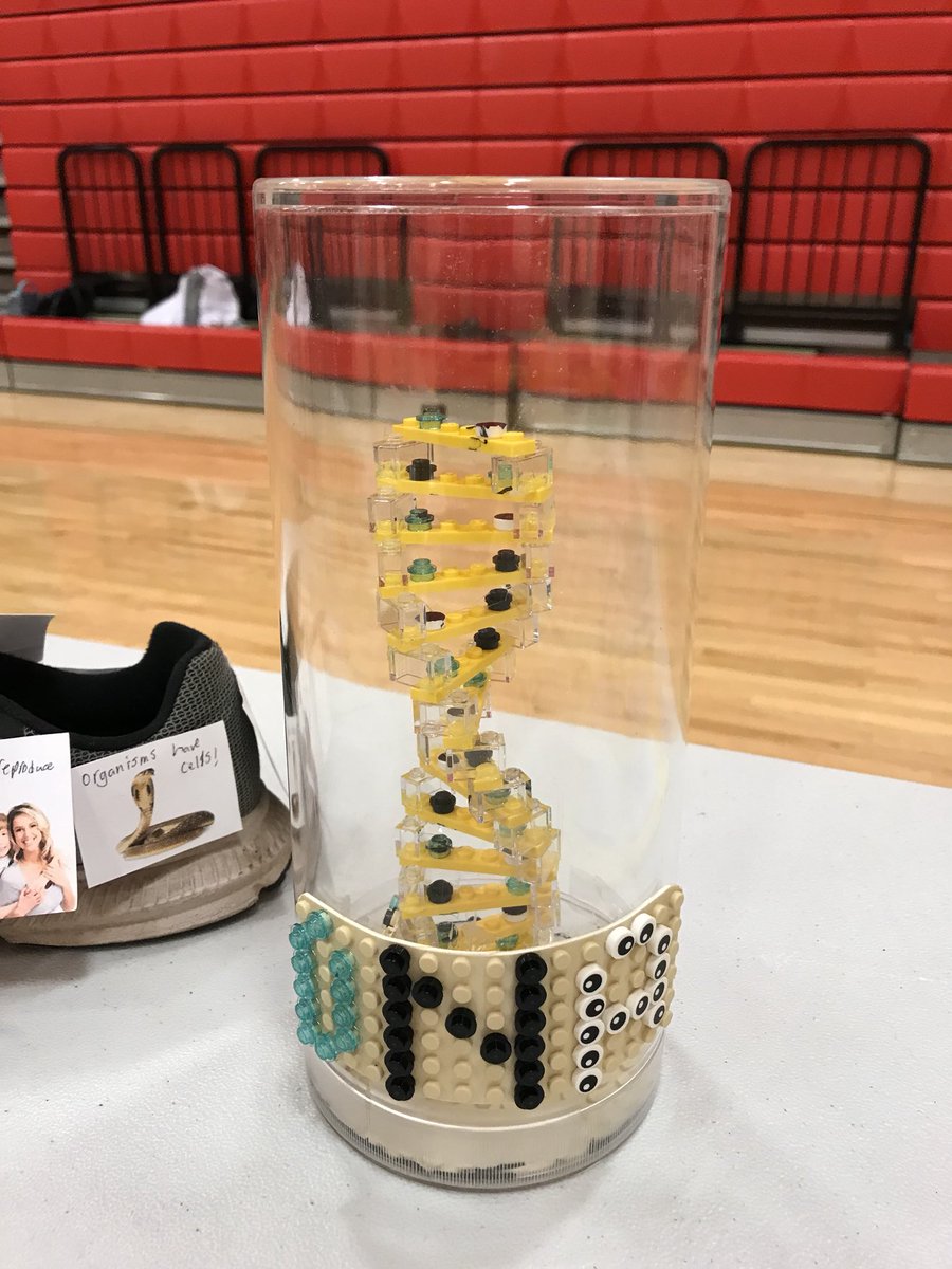 RJ Strauch tweet media