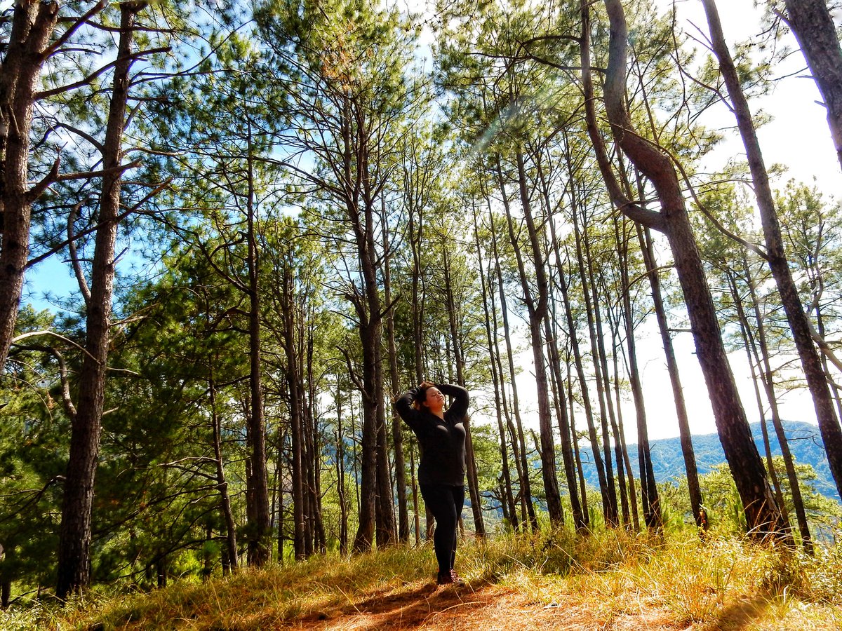 muy_bien1388's tweet photo. Don't be a girl who can do just both, be a woman who can do all.
📷 @annencarnacion @chengerloo
#taralakwatcha #lakwatcha #thetravellersperspective #naturelover #localecityguide #Vpinoy #wanderlust #sinopinas #SiPulag #lifewelltravelled #mountain #hikeph #allaboutphils https://t.co/ZfjjEh43jp