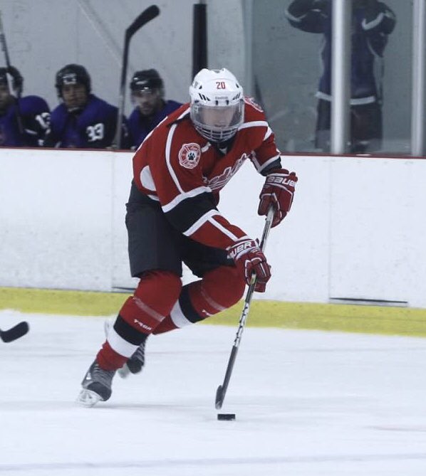 Heath Gibson tweet media