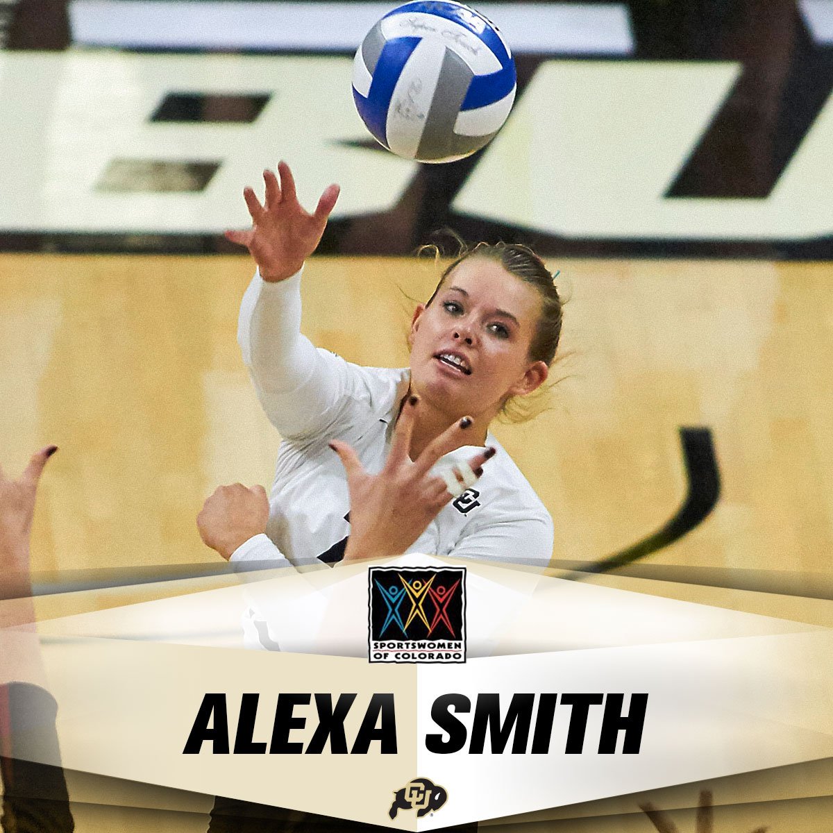 Colorado Buffaloes Volleyball tweet media