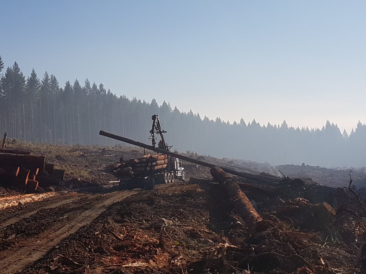 truckloggerBC's tweet photo. Time For Another Leap Of Faith: Focusing internally on the needs of our industry - https://t.co/bPiYMzgawv #TruckLoggers #BCLoggers https://t.co/1H6UVVgXnH
