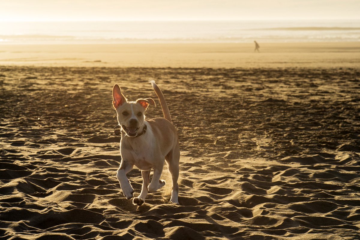 SPhilkill's tweet image. The nicest summer I've ever felt was winter in San Francisco.