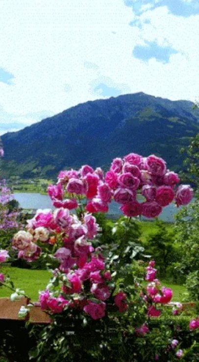 KaterinaGreece2's tweet photo. Μη σταματάς ποτέ να κάνεις το καλό και να βοηθάς
είτε αξίζει είτε όχι
αρκεί να τα έχεις καλά με τον εαυτό σου
Όλα κάποια στιγμή ανταμείβονται!
Όμορφη μέρα σε όλους!🌸
Καλημέρα! https://t.co/HA4Ybf5PbN