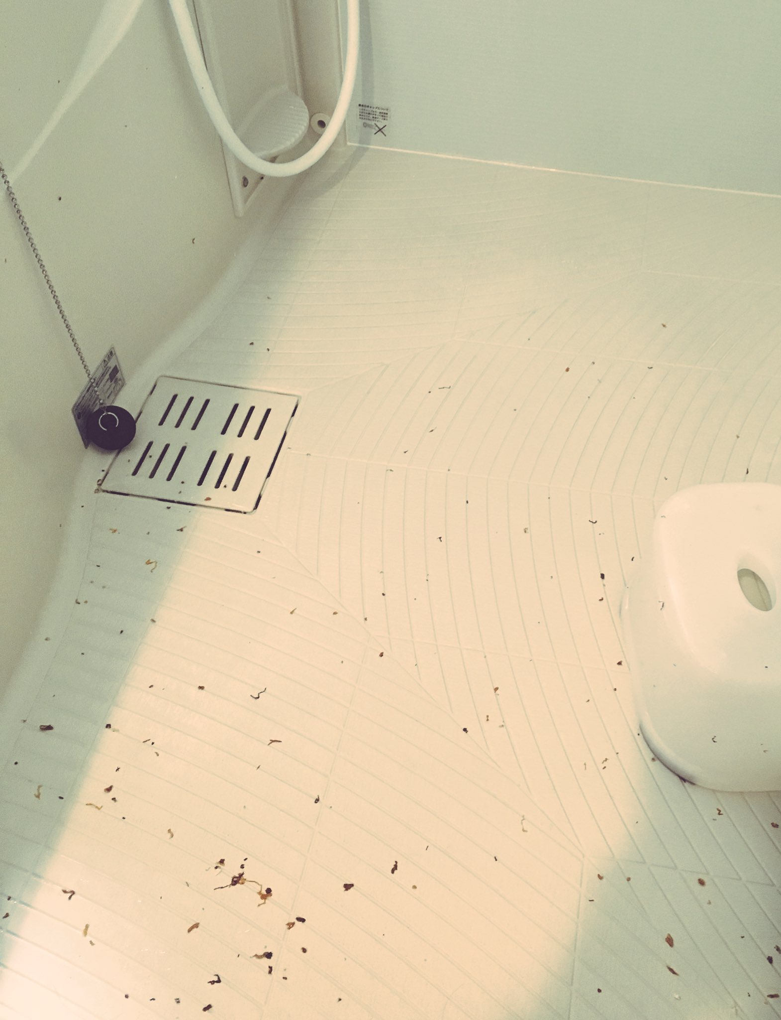 ぎゅうにゅう 旦那のズボンのポケットにタバコが入ったまま洗濯しちゃってキーキー言いながらお風呂で流してたら子どもが どうしたの って来て うわっパパおふろでうんこしちゃったんだ って言ってた