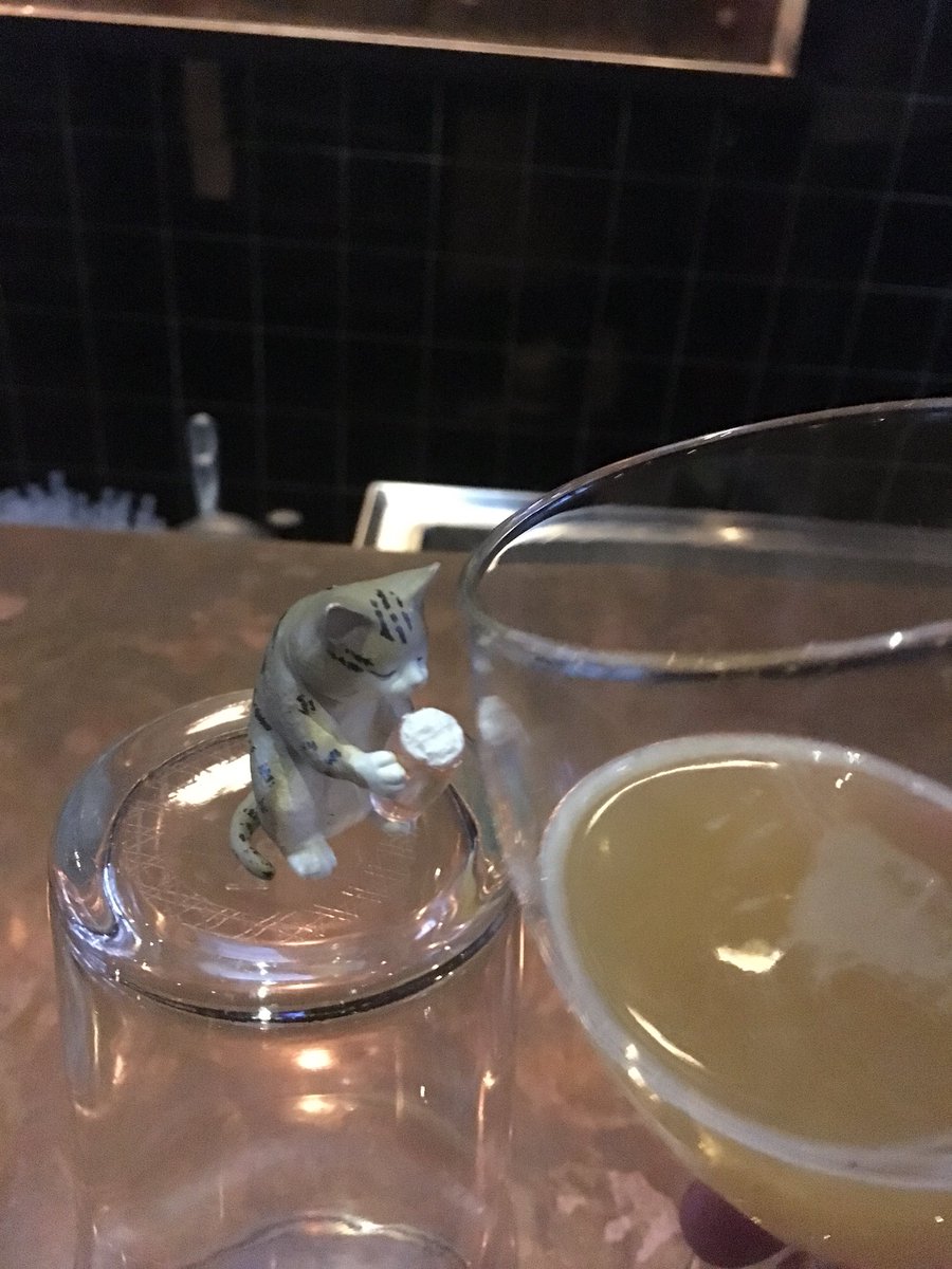CAbeercat's tweet photo. #beercatcheers #dillydillynever #cats4Beer https://t.co/KptCP67txp