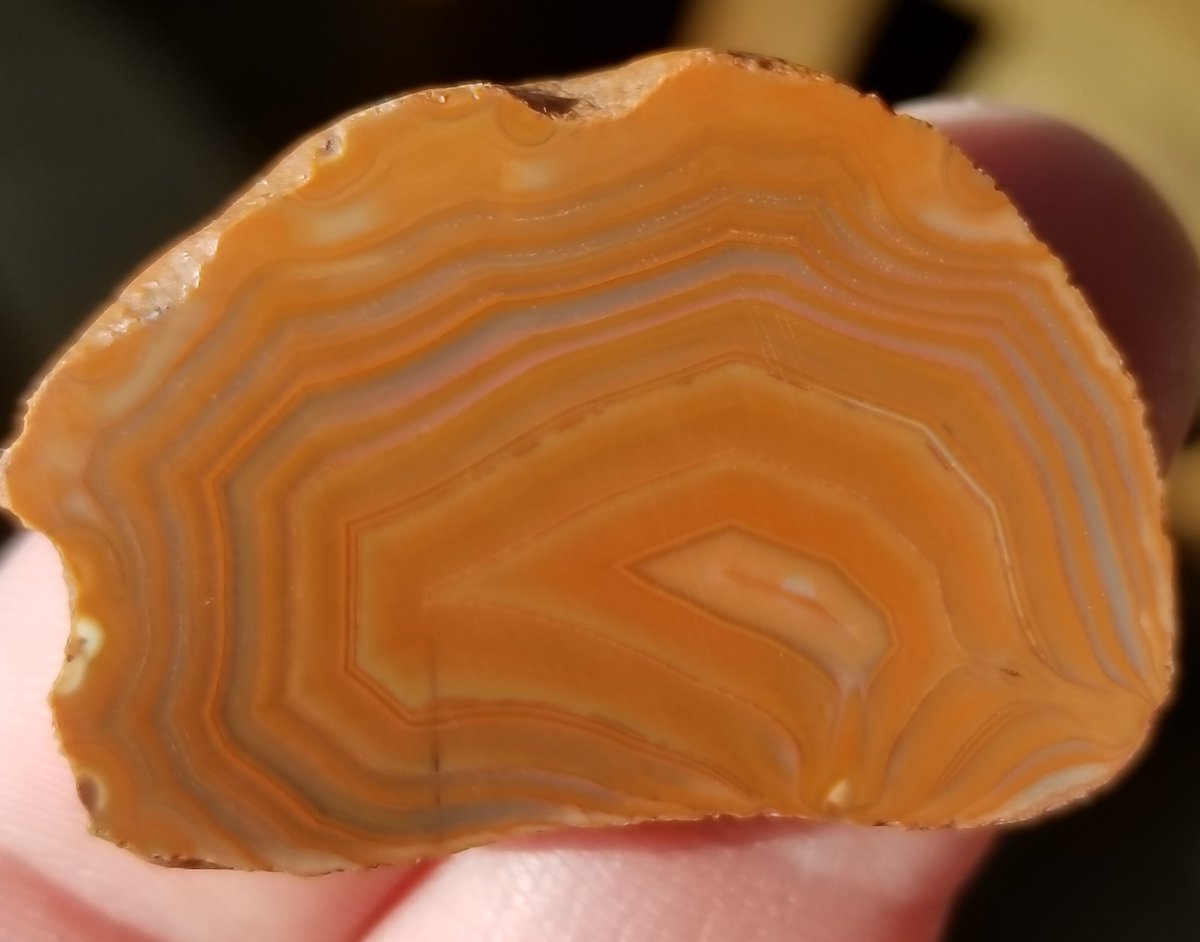 GetPickin's tweet photo. Front and back of this Lake Superior Agate slice! 

#lakesuperioragate #mondays #naturalbeauty #Duluth #cloquet #Minnesota #bands #mngemstone #getpickin #old #onlyinmn #likeit #reds #creamy #mysmallbiz #ilovemyjob #rocksrock #weekday https://t.co/An4EsaTZCv