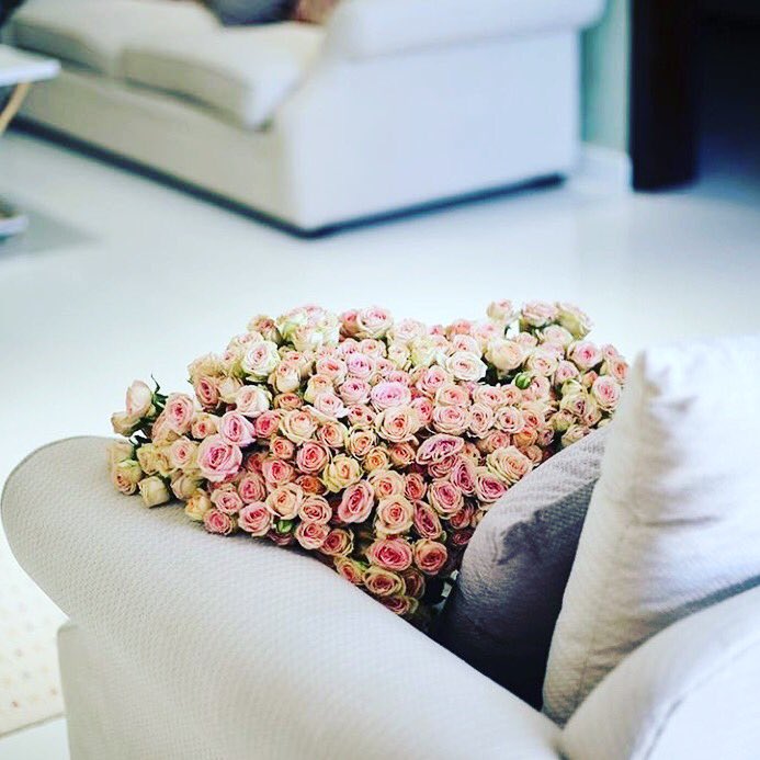 Aeen33's tweet photo. 💕

صباحك خير يا ضّي صبحي ؛ يا أول أسباب حبي للحياة ♥✨ https://t.co/edUFeF40fE