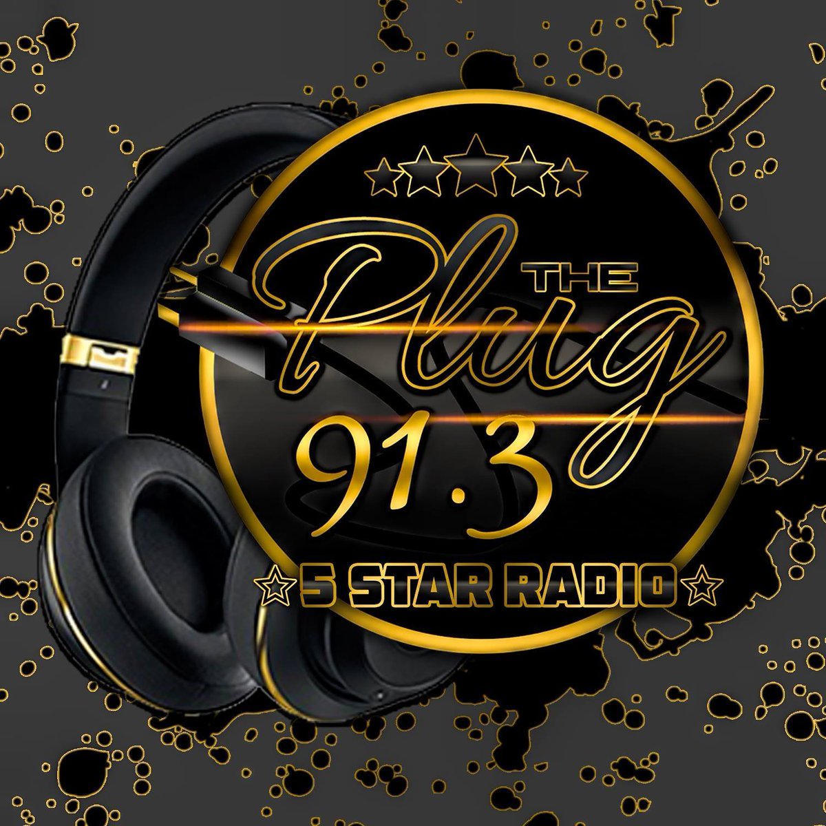 91.3ThePlug tweet media