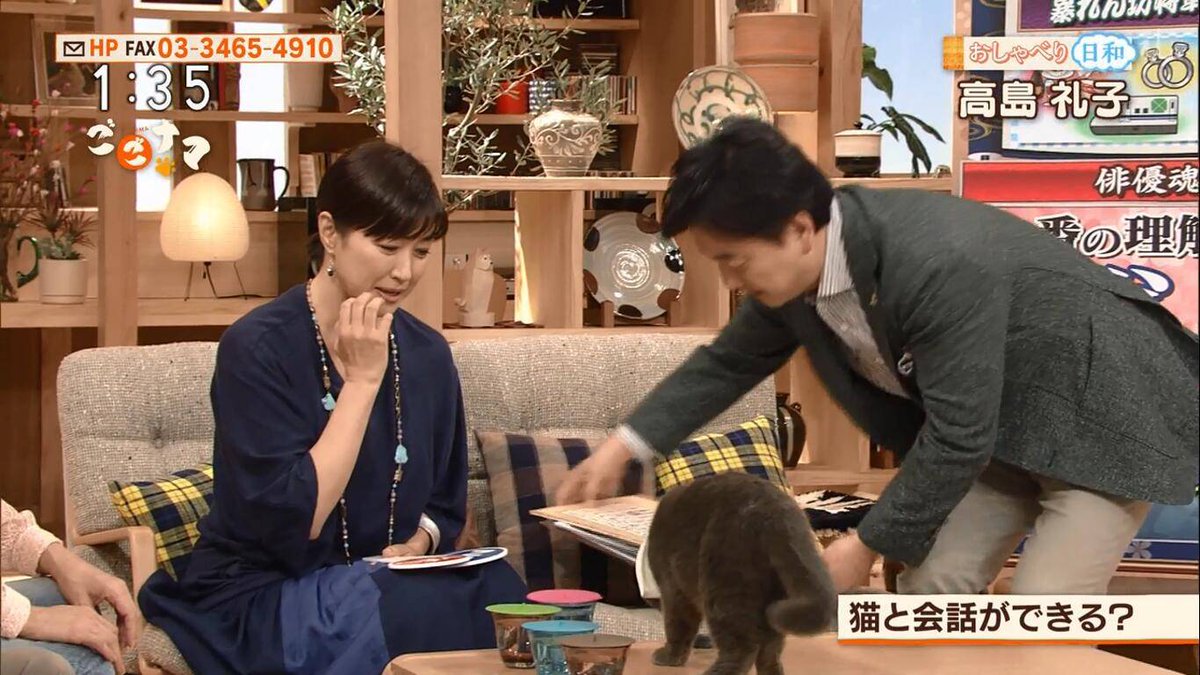 高島礼子fansclub ごごナマ おしゃべり日和 高島礼子 キュートな姉御の素顔とは 高島礼子 高島礼子fansclub ごごナマ おしゃべり日和 高島礼子 キュートな姉御の素顔とは 高島礼子