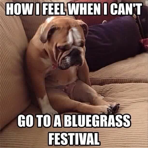 HoustonFest's tweet image. Please tell us you're attending! We don't want you staying home like this one!