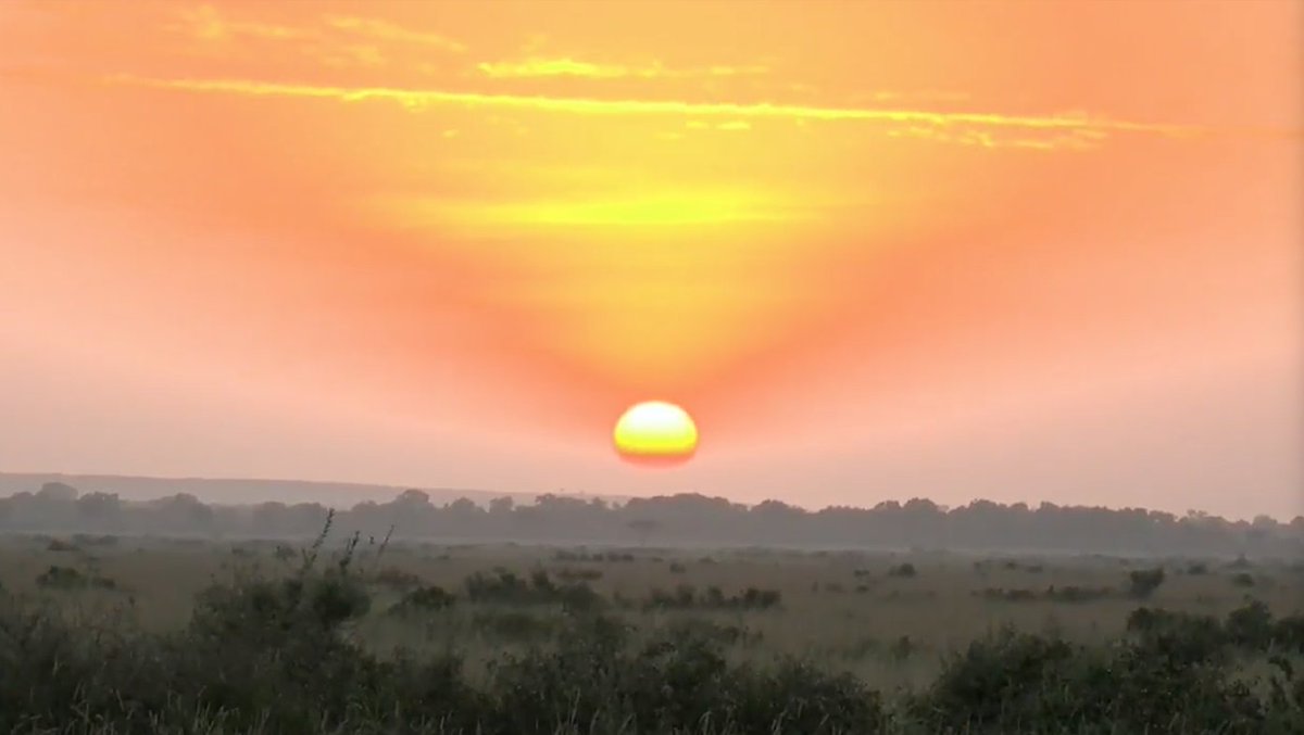 Andrene0904's tweet image. beautiful Mara sunrise with @tay_mccurdy #safariLive