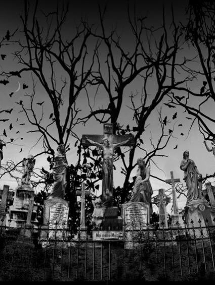 Moi meme Moitie 】モワ メーム モワティエ スリーピングガーデン