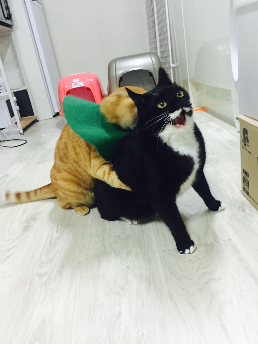 ssugnang's tweet image. 일하기 싫으니 좋아해주신 사진을 모아보자