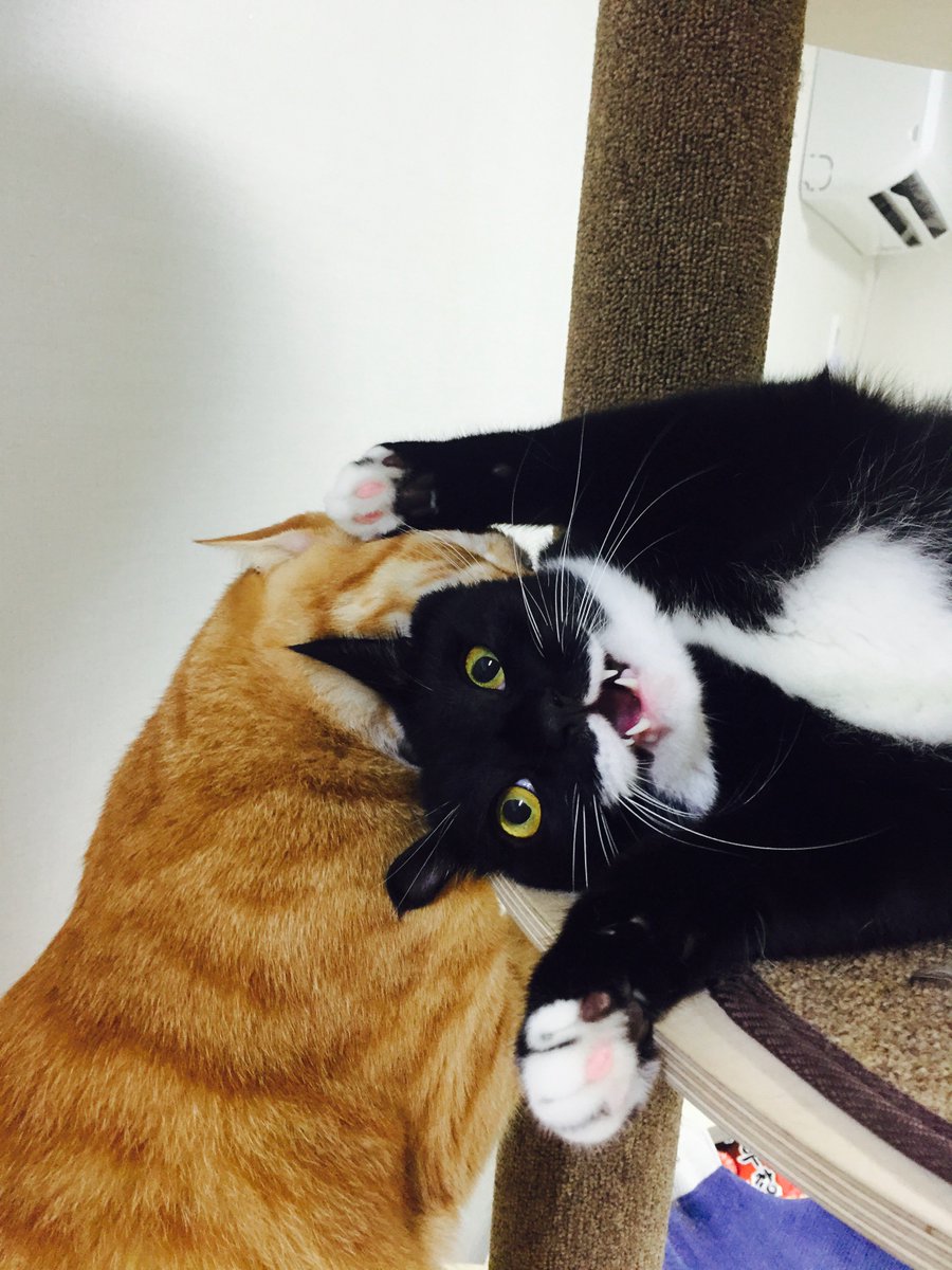 ssugnang's tweet image. 일하기 싫으니 좋아해주신 사진을 모아보자