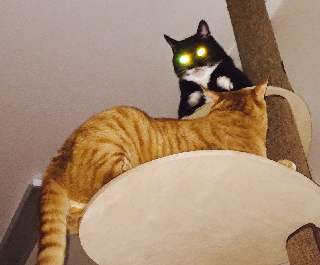 ssugnang's tweet image. 일하기 싫으니 좋아해주신 사진을 모아보자