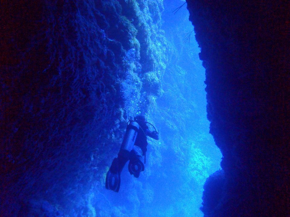 Buceo y evolución en las Islas Galápagos - jetcost.es/blog-de-viajes…