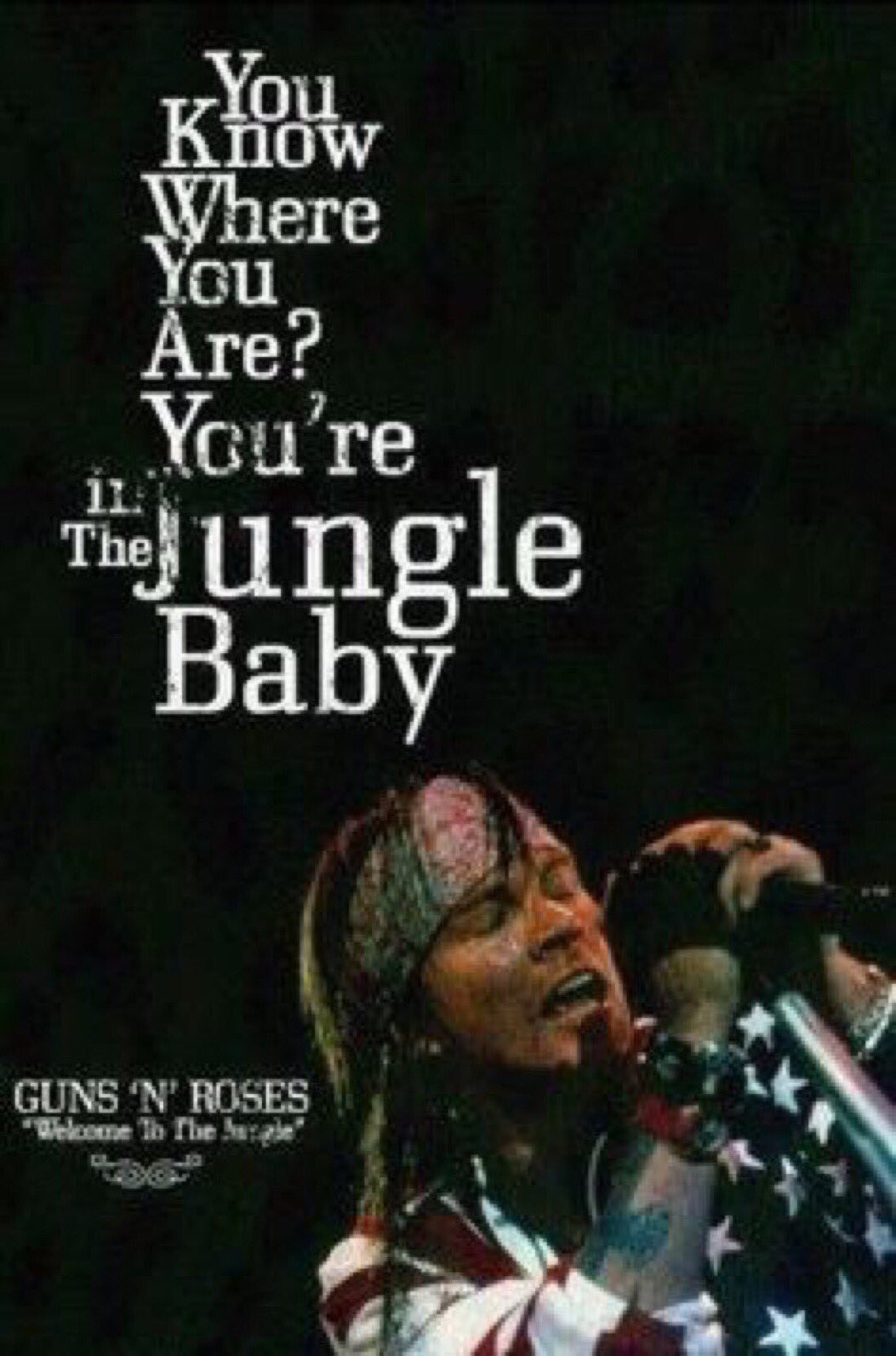  rose birthday to the jungle 
