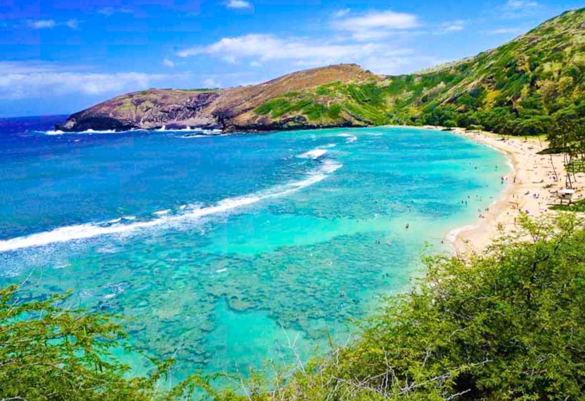 Vía @hawaiitweets