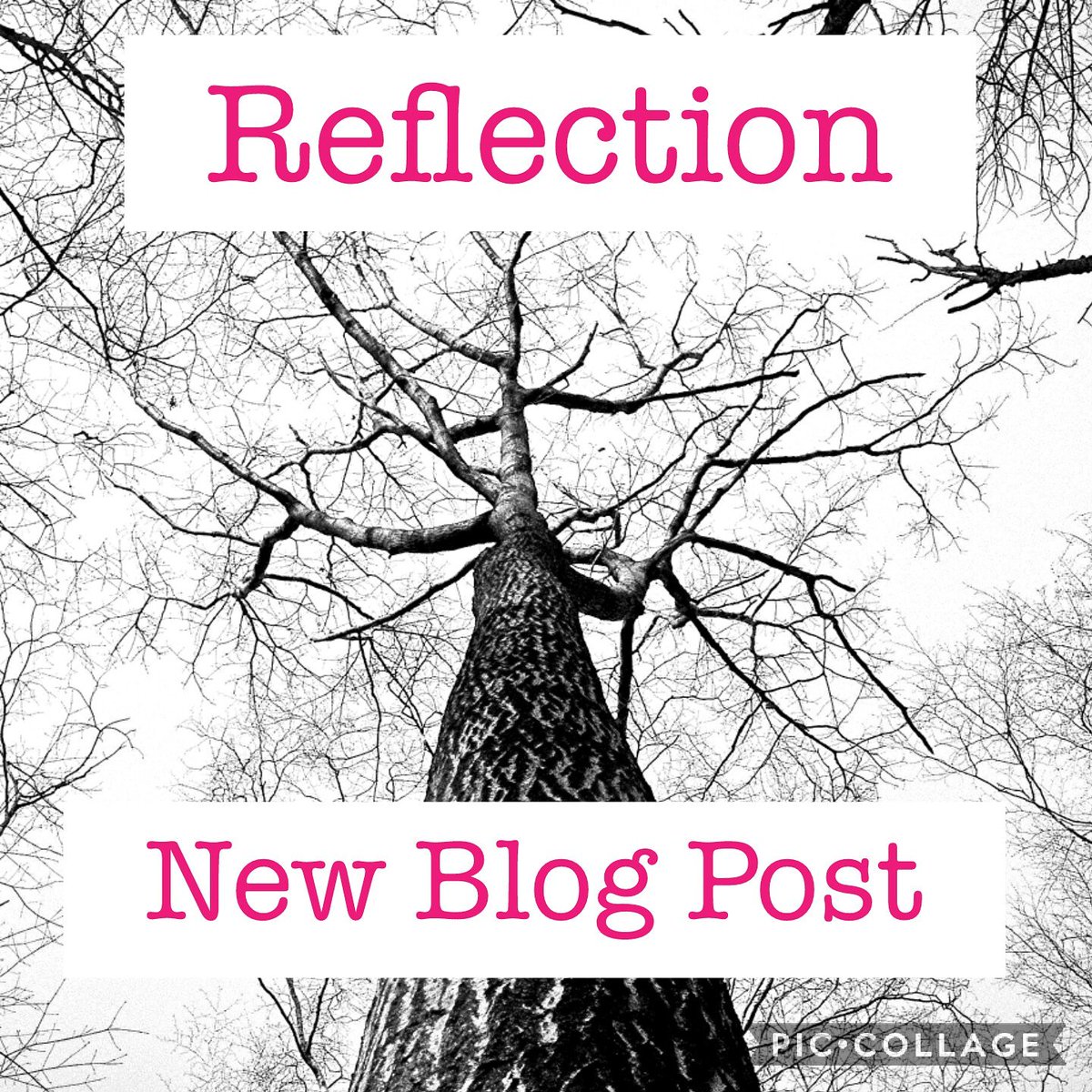 helliwell_katie's tweet photo. New blog post "Reflection" #blog #bloggerssparkle #psychic https://t.co/m4ib68HzX9