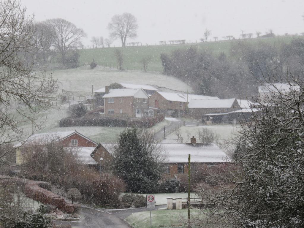 Trefeurig8's tweet photo. #eira #snow #penrhyncoch #pafin #pavement https://t.co/L2USXMYI2b