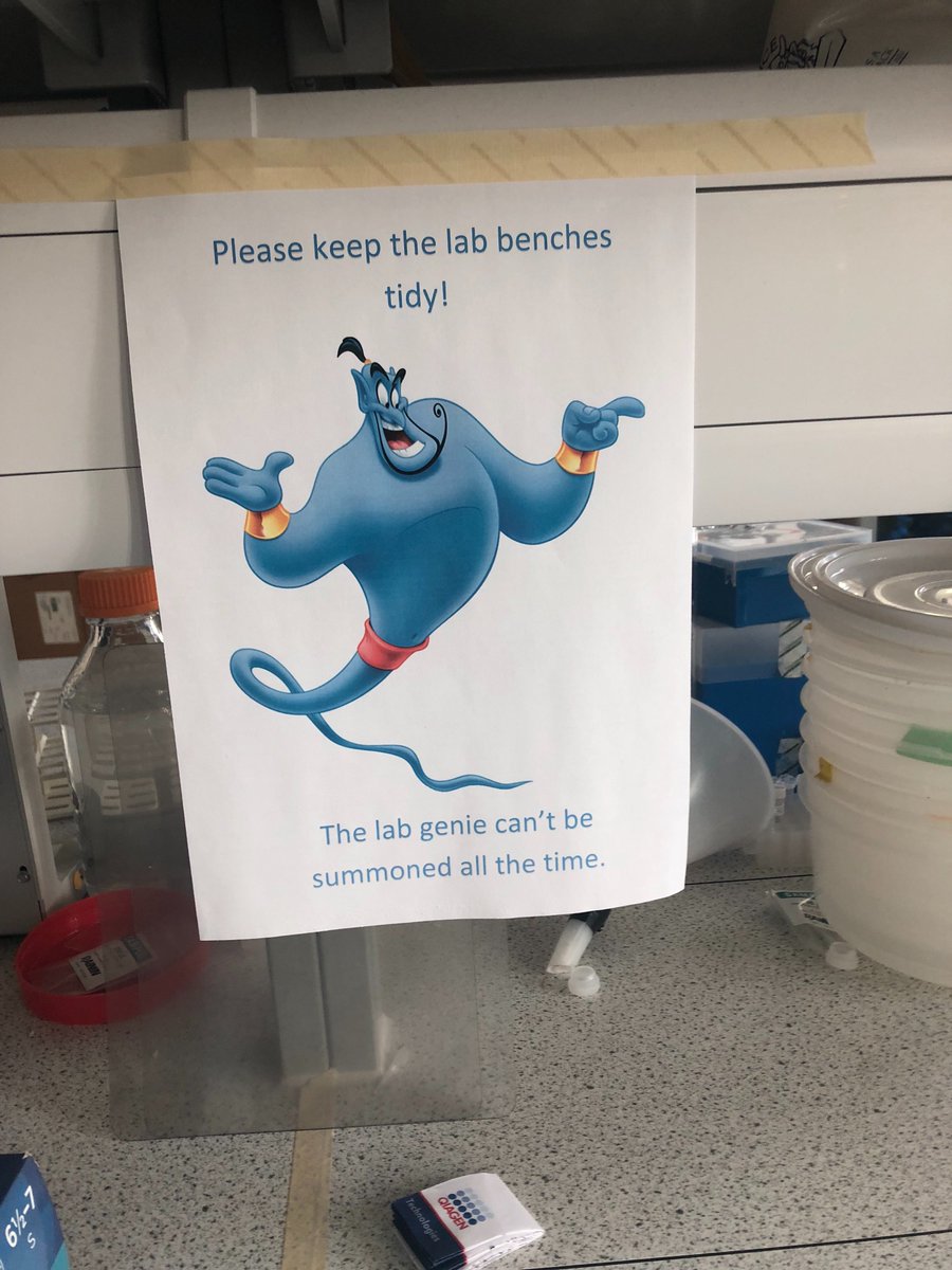 DrAliceGoring's tweet photo. @AiktaSharma_Bio has been making some home improvements whilst I was away 😂 #labbuddy https://t.co/ANVKP9g5gU