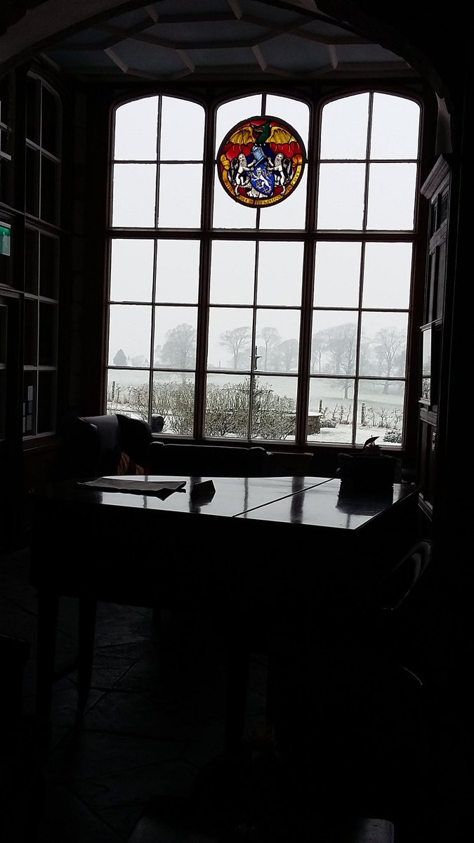 Rosario seabra DR tweet media