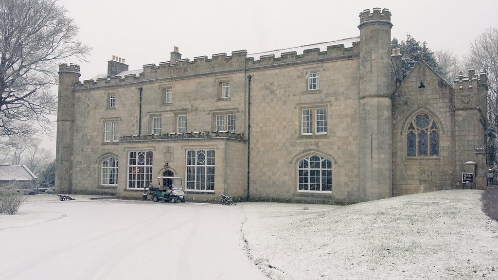 Rosario seabra DR tweet media