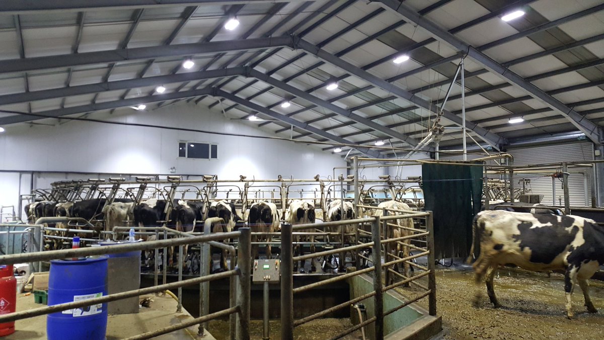 Dan Webster (@dannewhousefarm) on Twitter photo WiFi, tablet, auto sort gate,hot vimto . Sorting cows for the foot trimmer. Preventative trims! <a href="/VetIMPRESS/">VetIMPRESS</a> WiFi, tablet, auto sort gate,hot vimto . Sorting cows for the foot trimmer. Preventative trims! <a href="/VetIMPRESS/">VetIMPRESS</a>