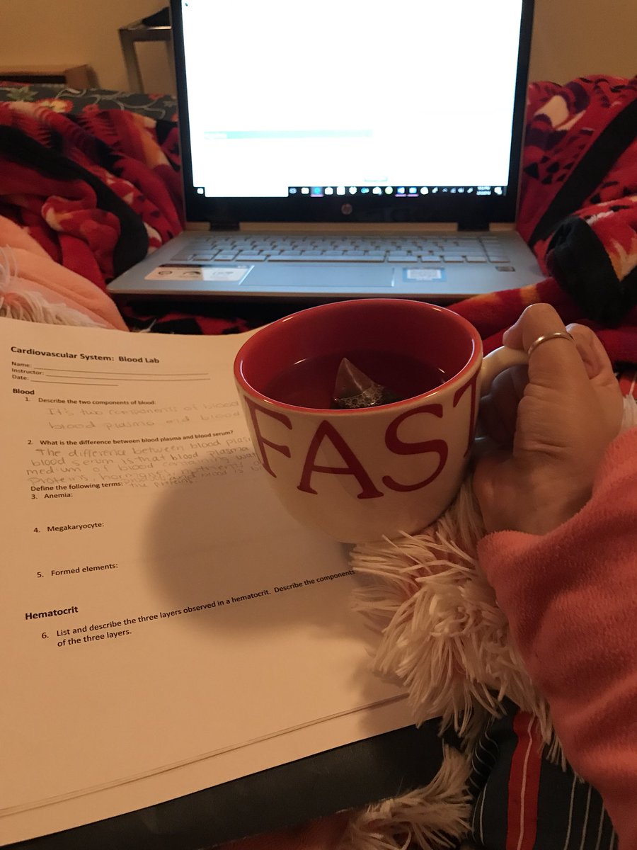 MireidaVargas's tweet photo. So I just took an Anatomy &amp; Physiology 2 quiz and I got a 75 because each question was timed to 2 minutes. This is how my night is going peeps. #needthatA #wontstop #kindasaditsol https://t.co/PXErcUdpof