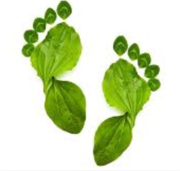 Bij deze wens ik jullie allemaal een mooie <a href="/VSKbeurs/">VSKbeurs</a> toe. @unetovni <a href="/DaikinNL/">Daikin Nederland</a> <a href="/ithodaalderop/">Itho Daalderop</a> @ATAG_CV <a href="/Technecobv/">Techneco</a> <a href="/NathanBenelux/">Nathan</a> <a href="/VerenigingNVKL/">NVKL</a> <a href="/SpeedComfort/">Enrico Hornig-Segebahn</a> <a href="/Inventumbv/">Inventum Technologies</a> <a href="/remeha/">Remeha</a> <a href="/PliegerNL/">Plieger</a> <a href="/Installatie/">Installatie.nl</a> <a href="/TUDeventer/">TU Deventer</a> en alle overige die zich in zetten voor een duurzaam Nederland.