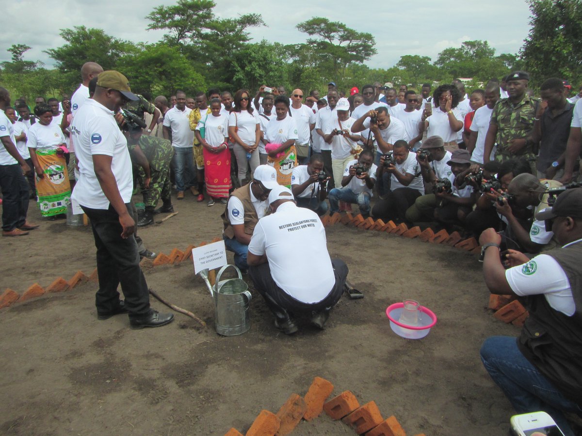 MalawiREDD's tweet photo. The Chief Secretary joined the Department of Forestry, JICA, and others on 27 January for a tree planting in the Dzalanyama Forest Reserve. Post-planting festivities included music performances and skits by local children's groups. https://t.co/chy6YVbyc0