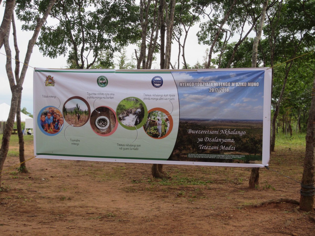 MalawiREDD's tweet photo. The Chief Secretary joined the Department of Forestry, JICA, and others on 27 January for a tree planting in the Dzalanyama Forest Reserve. Post-planting festivities included music performances and skits by local children's groups. https://t.co/chy6YVbyc0
