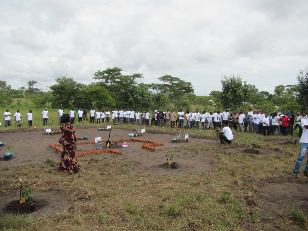 MalawiREDD's tweet photo. The Chief Secretary joined the Department of Forestry, JICA, and others on 27 January for a tree planting in the Dzalanyama Forest Reserve. Post-planting festivities included music performances and skits by local children's groups. https://t.co/chy6YVbyc0
