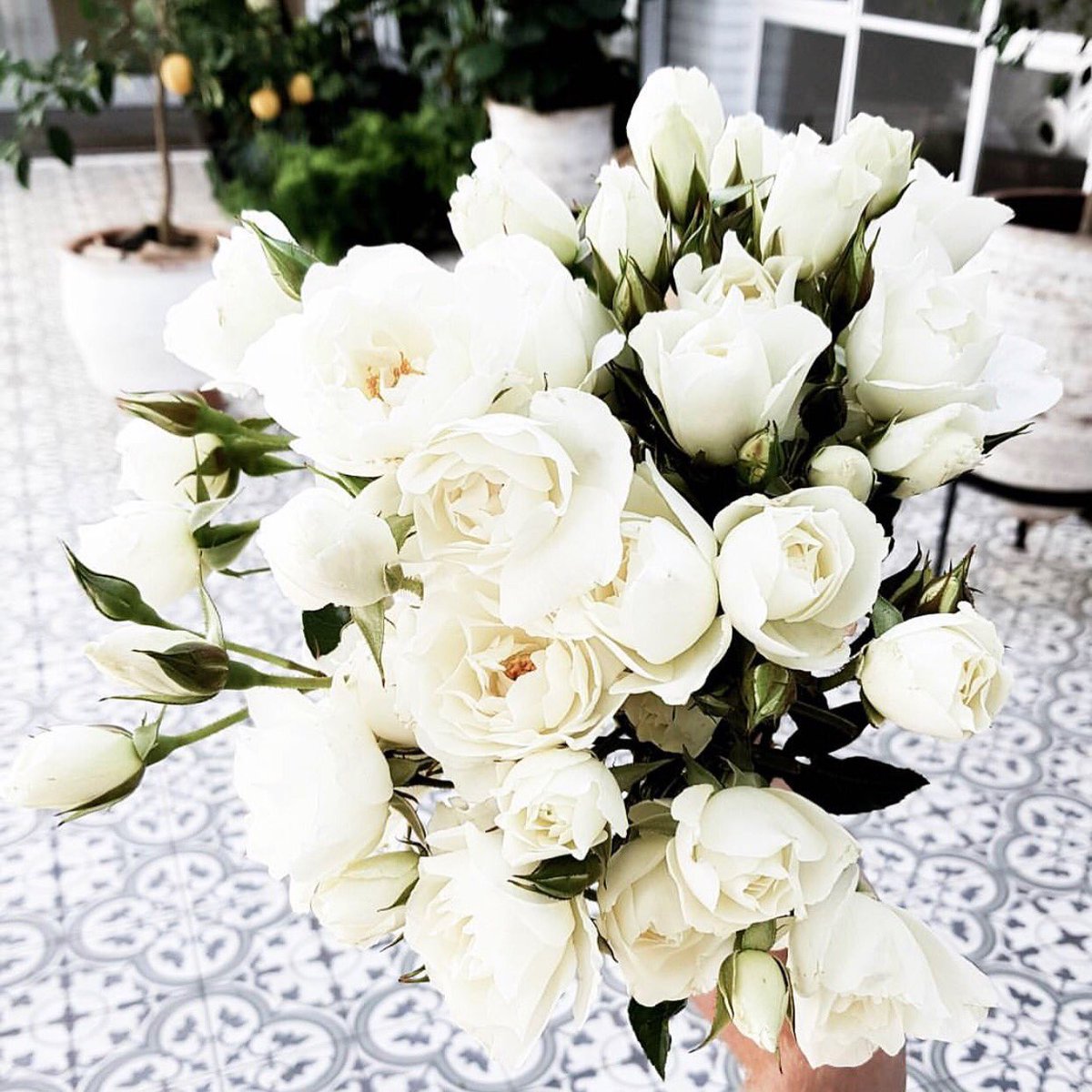 ARLOBLAK's tweet photo. Flowers ๐ทand face masks ๐ are the perfect present for your loved one on Valentines Day โค๏ธ! Spoil them and get yours now ๐ฌ๐ญ๐ซ! #ARLOANDME https://t.co/DqEBF7crGv