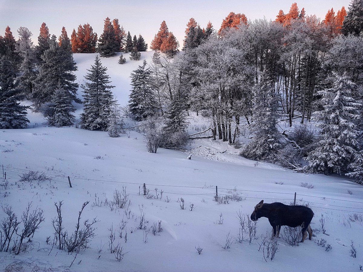 The fishing was not as good as the scenery this weekend. But I'm ok with that.

<a href="/Red_Shiner/">🍁RedShiner.ca</a> 
<a href="/Fishbigworld/">Fish Big</a>