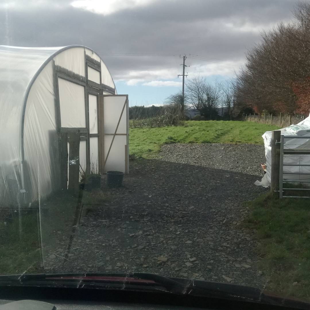 ediblenursery's tweet photo. Spring is in air. Well the birds our building nest anyway #springfairs booked. seeds sown compost ordered its any #ediblegardening #dartmoor https://t.co/lPNlkfRjuD