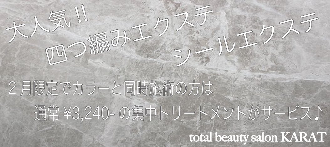 四つ編みエクステ 四つ編みエクステ