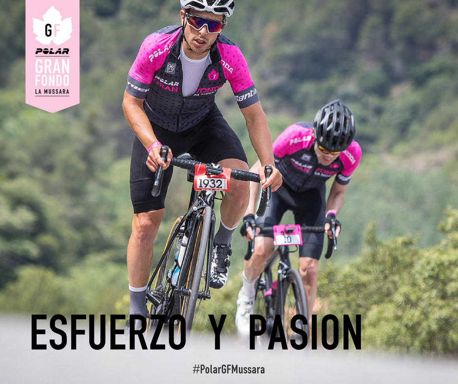🏆Las personas, los ciclistas son aquellos que dan vida a <a href="/GranFondoLM/">Polar Gran Fondo La Mussara</a> 🏆
💥¿Quieres formar parte de este organismo vivo llamado "La Marea Rosa"?💥

✅ Apúntate ➡ fal.cn/qpCE     
<a href="/PolarGlobal/">@PolarGlobal</a> @TrekBikesSpain <a href="/SRAMroad/">SRAM Road</a>