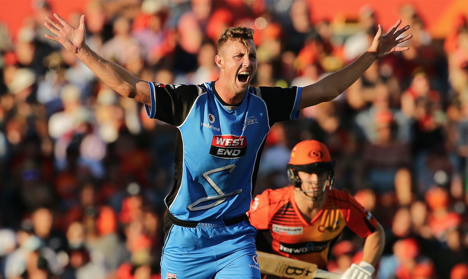 아드벡 1975 (Adelphi Ardbeg 1975)