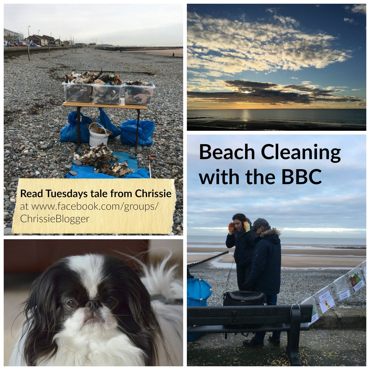 Tuesday with Chrissie #blogger Read it below and at facebook.com/groups/Chrissi… 😊
ow.ly/x7Fn30ie3pp