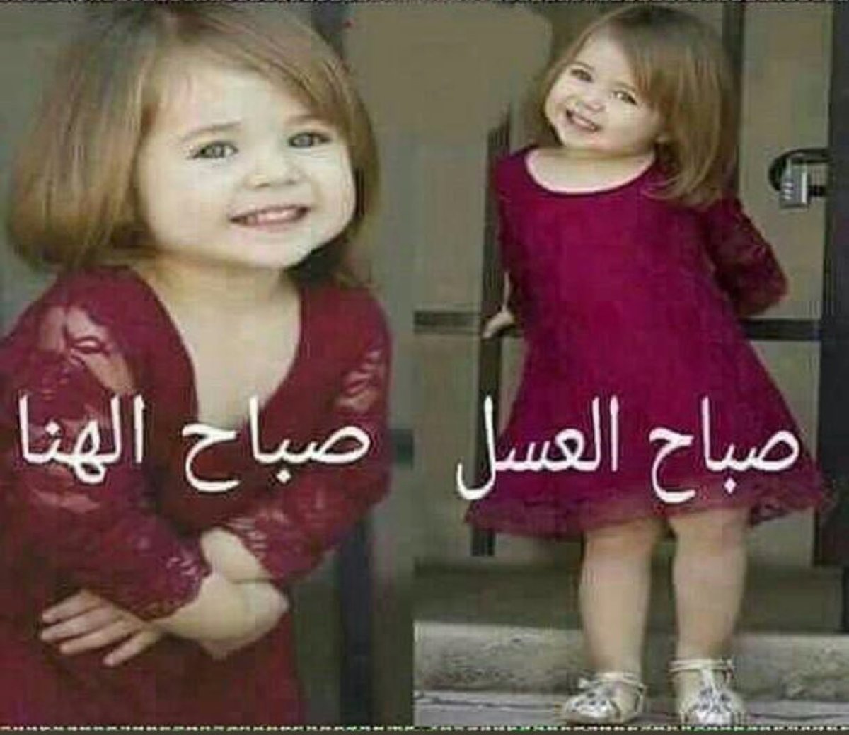 _1reemo's tweet photo. الساكت عن الحب عاشق أحمق 🥀'.                 #ملوك_الدعم_بتويتر
#قروب_الجاسر_للدعم 
#قروب_الشوق_للدعم
#قروب_صقر_للدعم https://t.co/ax7GnfyYnq