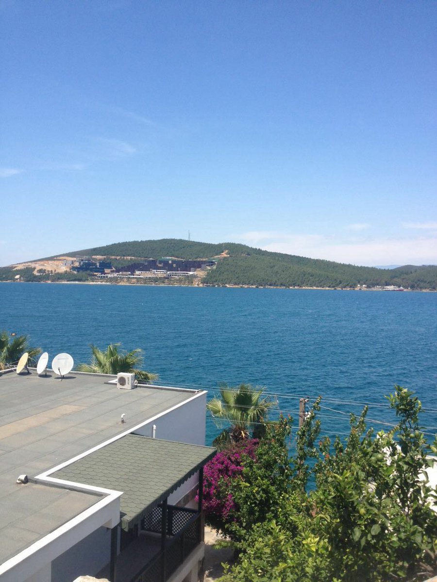ccenicc's tweet photo. günaydın  #BeşiktaşınMaçıVar https://t.co/moyZJifp4l