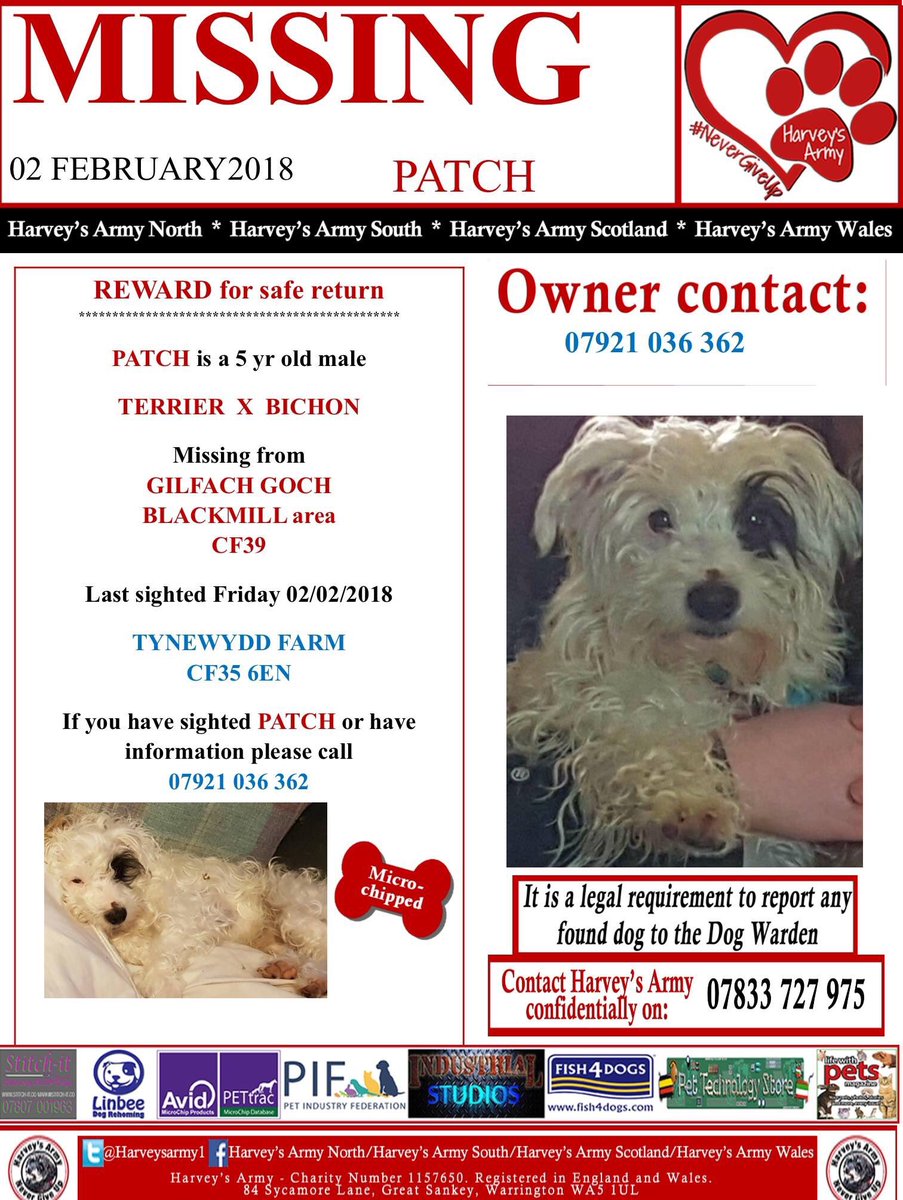 Blue Frenchie tweet media